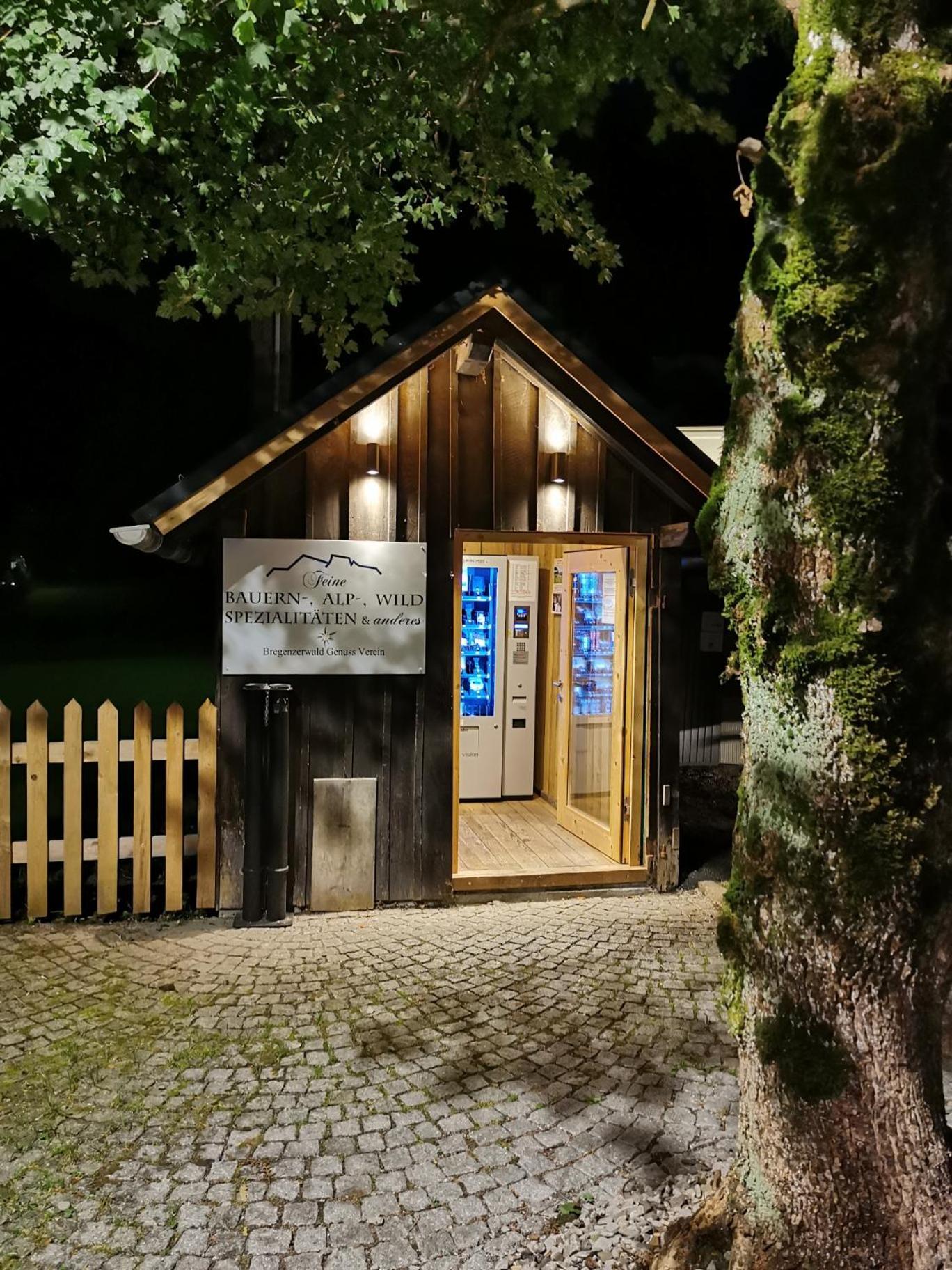 Alps Romantik Mellau Zewnętrze zdjęcie
